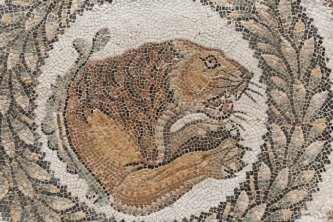 Musée du Bardo-023